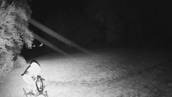 Snímek    29.10.2025 v 03:35