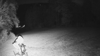 Snímek    31.10.2025 v 21:32