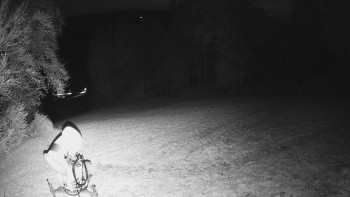 Snímek    31.10.2025 v 23:20