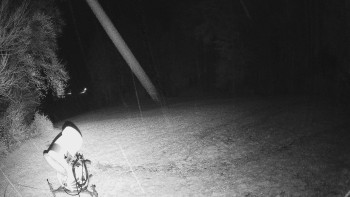 Snímek    3.11.2025 v 02:10