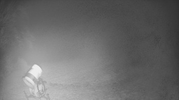 Snímek    3.11.2025 v 03:35