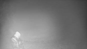 Snímek    3.11.2025 v 03:40