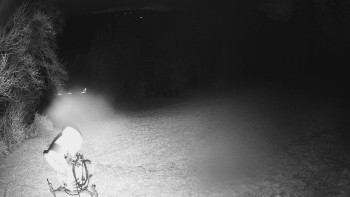 Snímek    3.11.2025 v 19:15