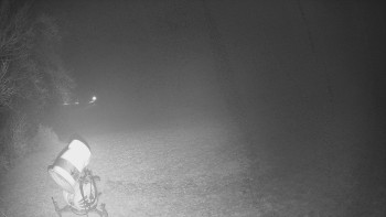 Snímek    3.11.2025 v 20:25