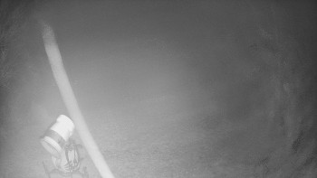 Snímek    3.11.2025 v 20:45