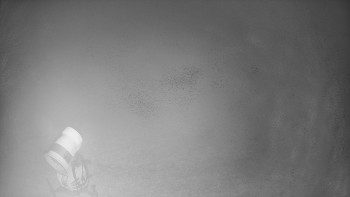 Snímek    4.11.2025 v 02:02