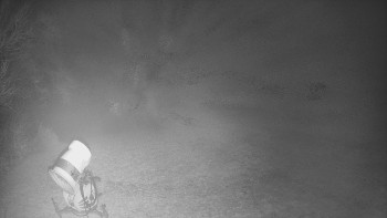 Snímek    4.11.2025 v 02:25