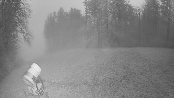 Snímek    4.11.2025 v 06:10