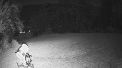 Prostřední část sjezdovky a snowpark