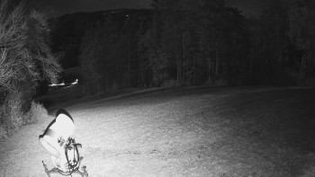 Snímek 5.11.2025 v 03:35