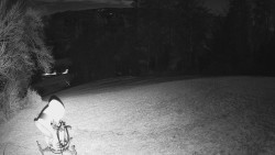 Prostřední část sjezdovky a snowpark