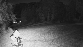 Snímek 6.11.2025 v 04:35