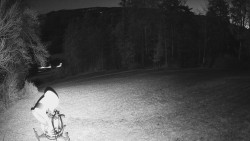 Prostřední část sjezdovky a snowpark