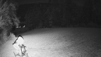 Snímek 7.11.2025 v 01:32