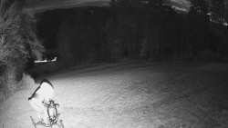 Prostřední část sjezdovky a snowpark