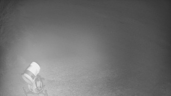 Snímek 17.11.2025 v 01:45