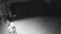 Prostřední část sjezdovky a snowpark