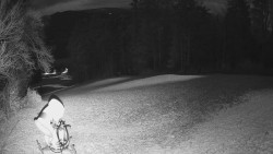 Prostřední část sjezdovky a snowpark