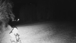 Prostřední část sjezdovky a snowpark