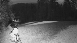 Prostřední část sjezdovky a snowpark