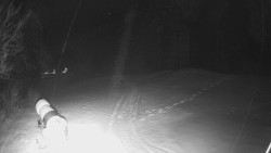 Prostřední část sjezdovky a snowpark