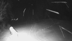 Prostřední část sjezdovky a snowpark