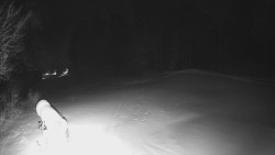 Prostřední část sjezdovky a snowpark