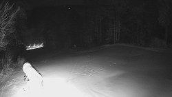 Prostřední část sjezdovky a snowpark