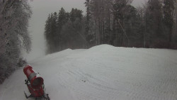 Prostřední část sjezdovky a snowpark