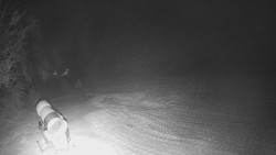 Prostřední část sjezdovky a snowpark