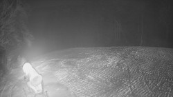 Prostřední část sjezdovky a snowpark