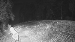 Prostřední část sjezdovky a snowpark