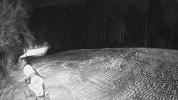 Prostřední část sjezdovky a snowpark