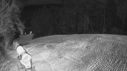 Prostřední část sjezdovky a snowpark