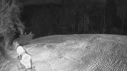 Prostřední část sjezdovky a snowpark