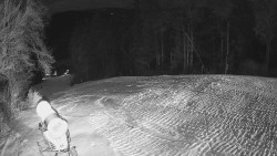 Prostřední část sjezdovky a snowpark