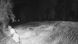 Prostřední část sjezdovky a snowpark