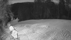 Prostřední část sjezdovky a snowpark