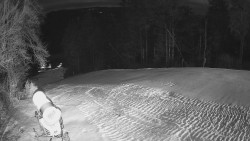 Prostřední část sjezdovky a snowpark