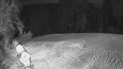 Prostřední část sjezdovky a snowpark