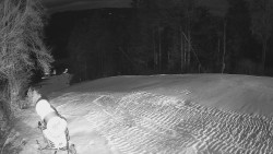 Prostřední část sjezdovky a snowpark