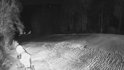 Prostřední část sjezdovky a snowpark