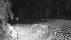 Prostřední část sjezdovky a snowpark