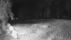 Prostřední část sjezdovky a snowpark