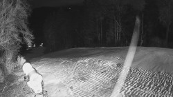 Prostřední část sjezdovky a snowpark