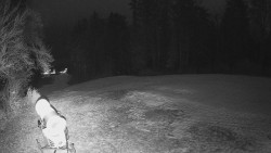 Prostřední část sjezdovky a snowpark