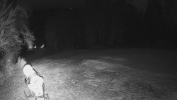 Prostřední část sjezdovky a snowpark