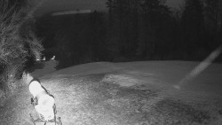 Prostřední část sjezdovky a snowpark