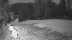 Prostřední část sjezdovky a snowpark