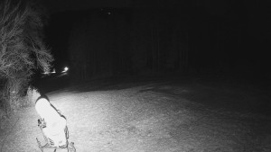 Skiareál Karolinka - Prostřední část sjezdovky a snowpark - 13.12.2025 v 00:25 Skiareál Karolinka - Prostřední část sjezdovky a snowpark - 13.12.2025 v 00:25